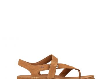 Πέδιλα-Σανδάλια γυναικεία UGG Ταμπά 1175134-CHE GoldenGaze Toe Post 262 - UGG - 