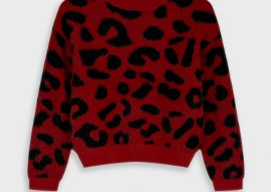 Πλεκτό πουλόβερ - ΜΠΟΡΝΤΩ 16-125204-6 - energiers - 