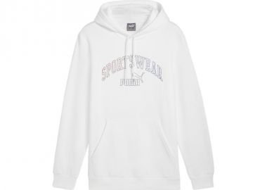 Puma Ess Logo LAB Gradient Hoodie FL M 681775 02 - Puma - 