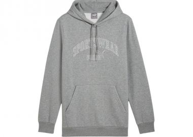 Puma Ess Logo LAB Gradient Hoodie FL M 681775 03 - Puma - 