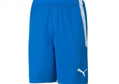 Puma Team Goal 23 704262-02 Ανδρικό Σορτς Εμφάνισης Ποδοσφαίρου - Puma - 