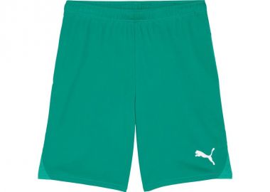 Puma Team Goal men's shorts green 705752 05 - Puma - 