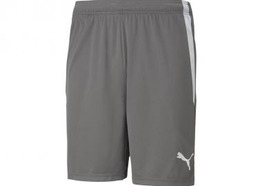 Puma teamLIGA M 704924 13 shorts - Puma - 