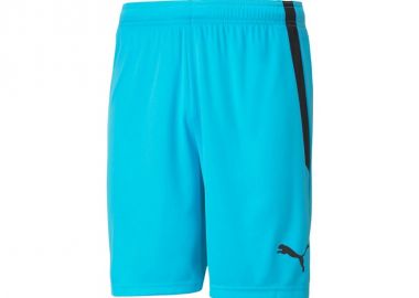 Puma teamLIGA M 704924 40 shorts - Puma - 