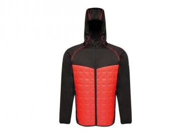 Regatta TRA517-4WD Ανδρικό Χειμωνιάτικο Μπουφάν Puffer Μπλε - Regatta - 