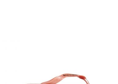 Σαγιονάρες γυναικείες Havaianas Ρόζ 4127244-1121 Havaianas Top Logo Metallic 262 - Havaianas - 