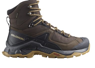 SALOMON 472161 QUEST ELEMENT GTX DELICIOSO - Salomon - 