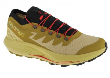 Salomon Pulsar Pro L41593600 Ανδρικά Αθλητικά Παπούτσια Trail Running Πράσινα - Salomon - 