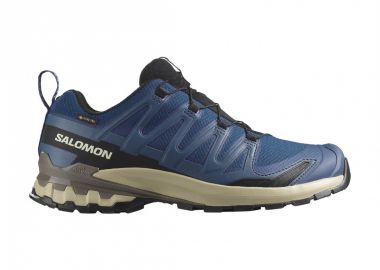 Salomon XA Pro 3D v9 GTX L47817200 - Salomon - 