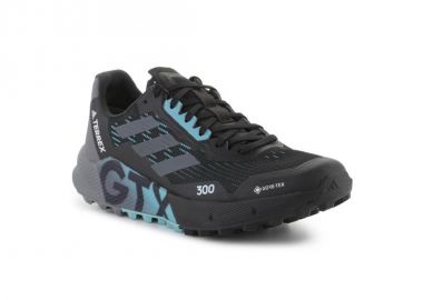 Shoes adidas Terrex Agravic Flow 2 GTX M H03382 - adidas performance - 