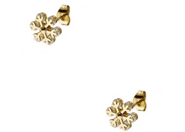 Σκουλαρίκια Από Ανοξείδωτο Ατσάλι Επιχρυσωμένο Με Νιφάδα AS42350 - AMOR AMOR - 