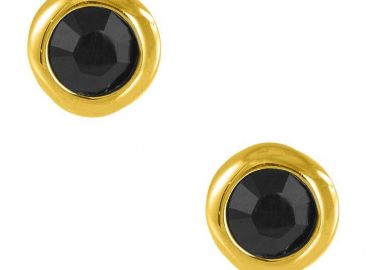 Σκουλαρίκια Από Ασήμι 925 Επιχρυσωμένο Με Swarovski EX49490 - AMOR AMOR - 