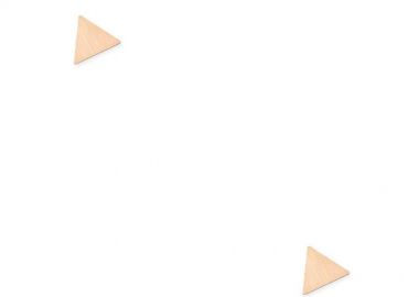 Σκουλαρίκια Από Ασήμι 925 Ροζ Επιχρυσωμένο SU49635 - AMOR AMOR - 