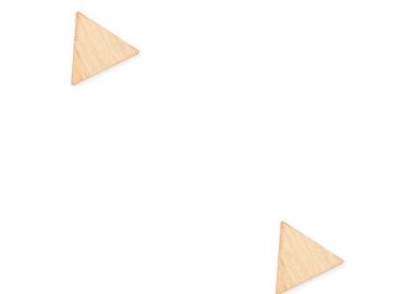 Σκουλαρίκια Από Ασήμι 925 Ροζ Επιχρυσωμένο SU49638 - AMOR AMOR - 