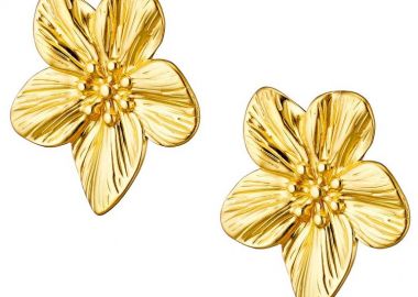 Σκουλαρίκια Από Ατσάλι Επιχρυσωμένο 24Κ Λουλούδια AS45177 - AMOR AMOR - 