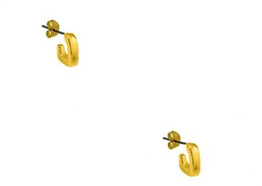 Σκουλαρίκια Από Ορείχαλκο Επιχρυσωμένο 24Κ Γάντζοι PF48553 - AMOR AMOR - 