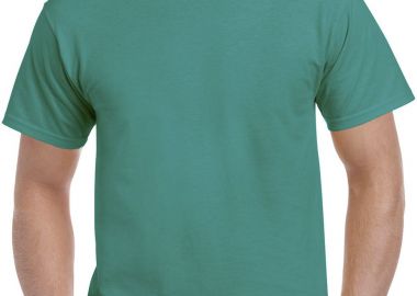T-Shirt 2000 Gildan Ultra Cotton Jade Dome - Gildan - 