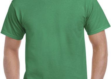 T-Shirt 2000 Gildan Ultra Cotton Kelly Green - Gildan - 