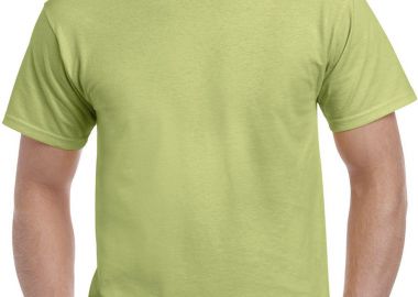 T-Shirt 2000 Gildan Ultra Cotton Pistachio - Gildan - 