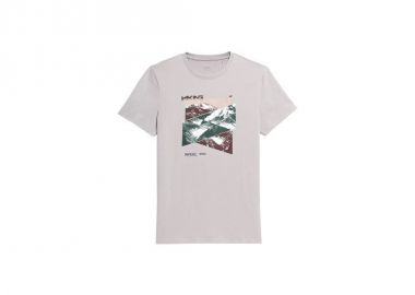 T-shirt 4F M H4L22-TSM071 gray - 4f - 