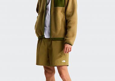 The North Face ανδρικό σορτς Regular Fit 