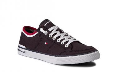 Tommy Hilfiger Harrington 5D2 M shoes FM0FM00543403 - Tommy Hilfiger - 
