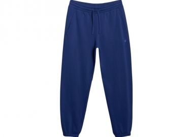 Trousers 4F Cas M1139 M 4FWMM00TTROM1139 031S - 4f - 