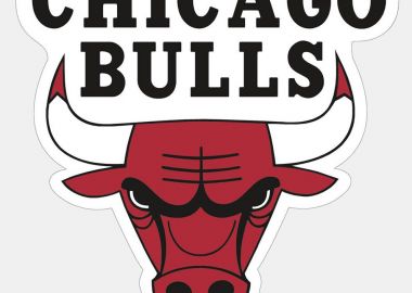 Wincraft Nba Prc Mag Cd C Bulls (9000179090_16406) - Wincraft - 