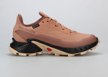 WOMEN'S SALOMON ALPHACROSS 5 GORE-TEX ΡΟΖ - SALOMON - 