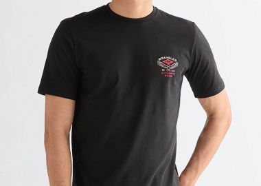 Wrangler® ανδρικό T-shirt με print Regular Fit 
